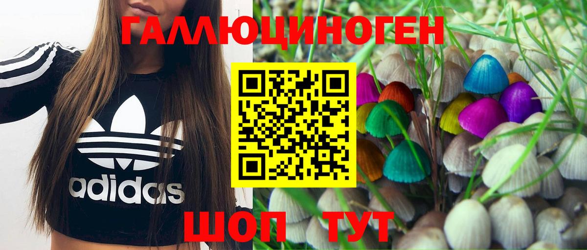 Псилоцибиновые грибы мухоморы Печора