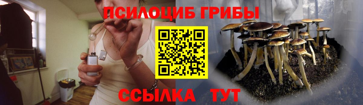 Печора  Галлюциногенные грибы мухоморы  Галлюциногенные грибы мицелий  Вход с VPN 